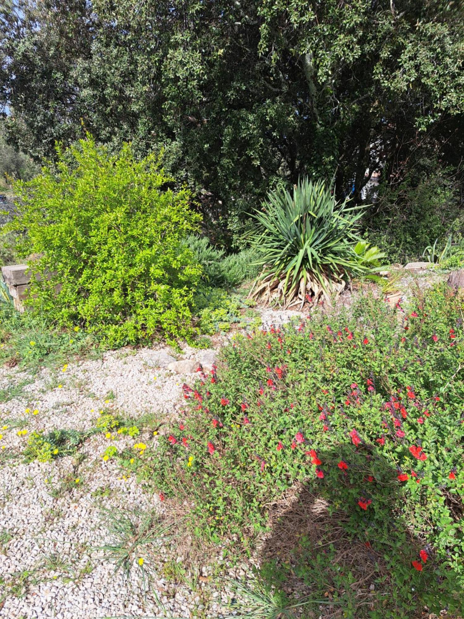 Bed and Breakfast Le calme de la garrigue à Russan Extérieur photo