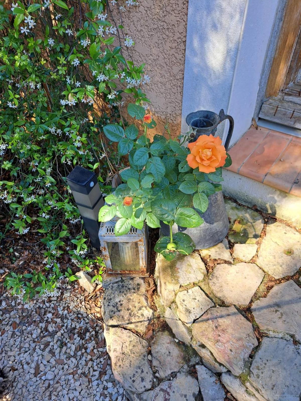 Bed and Breakfast Le calme de la garrigue à Russan Extérieur photo
