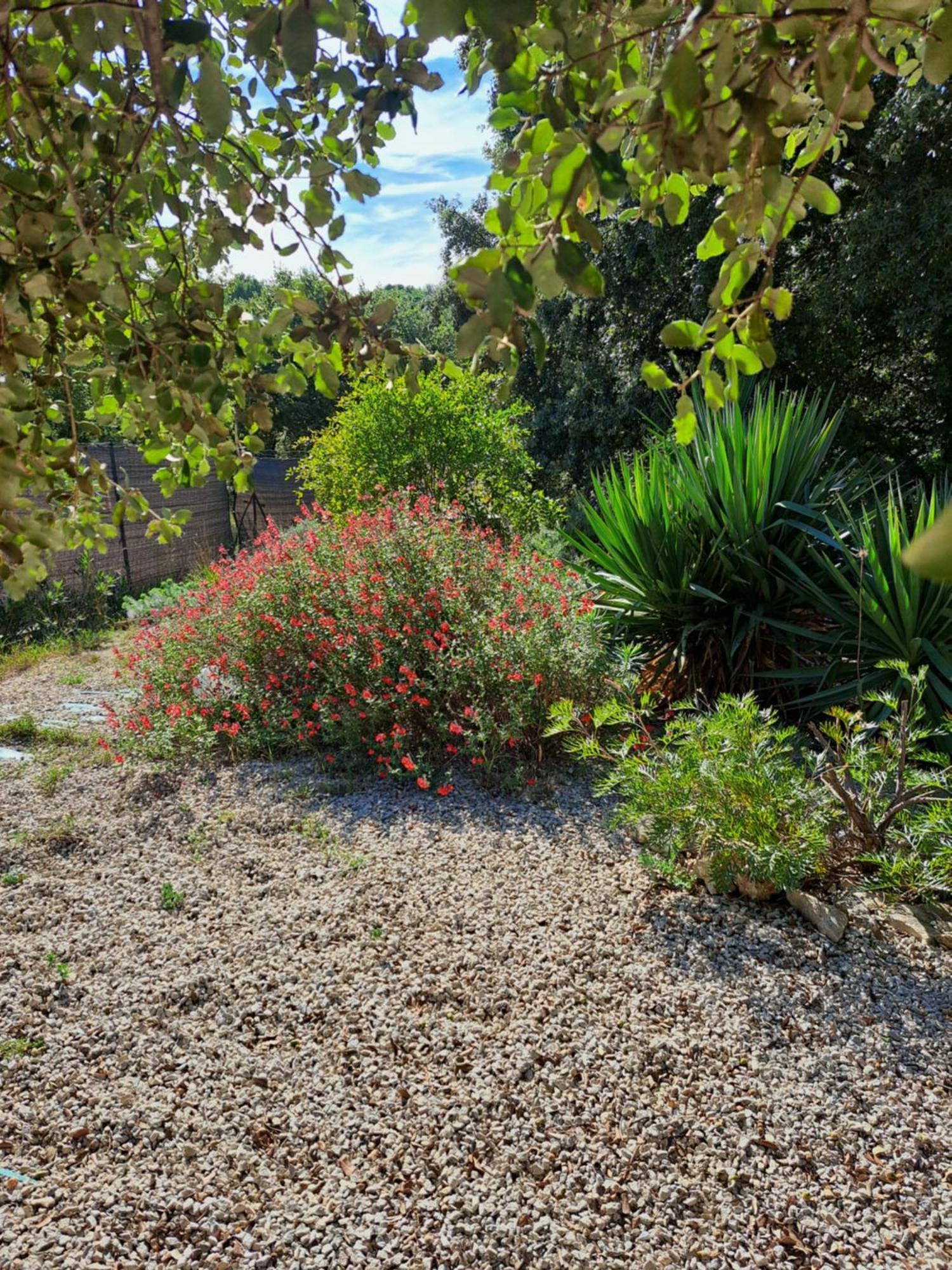 Bed and Breakfast Le calme de la garrigue à Russan Extérieur photo